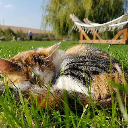 Cuibul Dintre Iazuri *