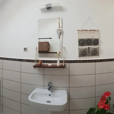 Cuibul Dintre Iazuri Pensiune *