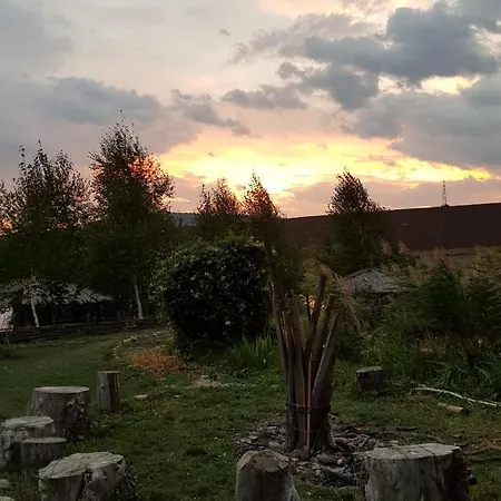Cuibul Dintre Iazuri * Piatra Neamţ